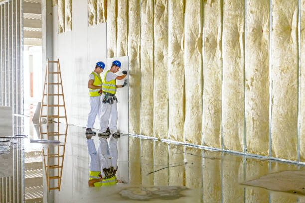 Best Insulation Air Sealing  in Louisville, OH